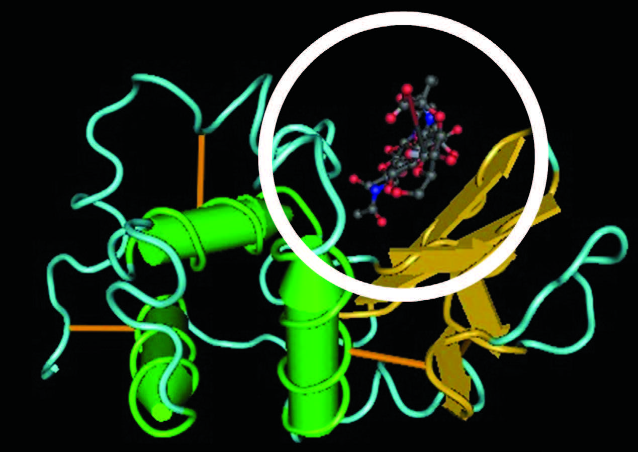 Science Note Structural biology for Alevel students